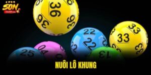 nuôi lô khung